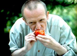 how to restart a stalled diet